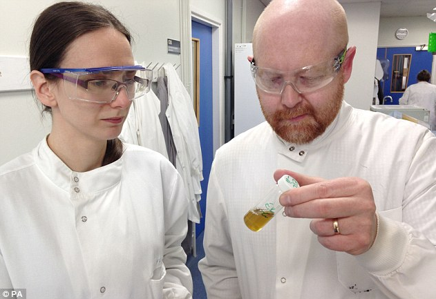 Nottingham Üniveristesi mikrobiyologları  Dr Freya Harrison ve Dr Steve Diggle'ı sarmısak bazlı "iksir"leriyle görüyoruz.