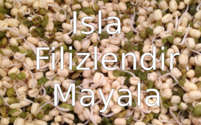 Isla – Filizlendir – Mayala